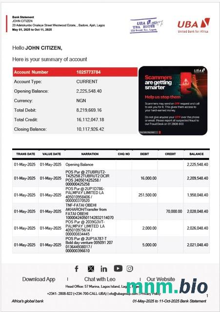 Nigeria United Bank For Africa oświadczenie bankowe słowo i szablon PDF, 2 strony